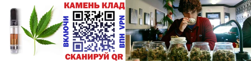Cannafood конопля  Шали 