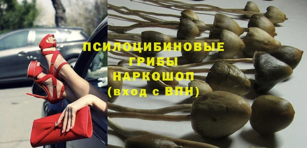 сатива Навашино