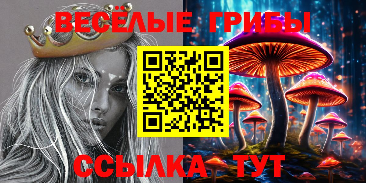 дарнет шоп  Вход с VPN  Шали  Галлюциногенные грибы прущие грибы  Галлюциногенные грибы мицелий 